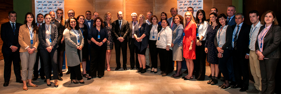 Participants at the European EMS symposium (May 2018)