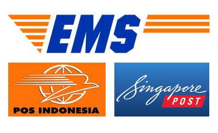 Indonesia and Singapore EMS twinning project