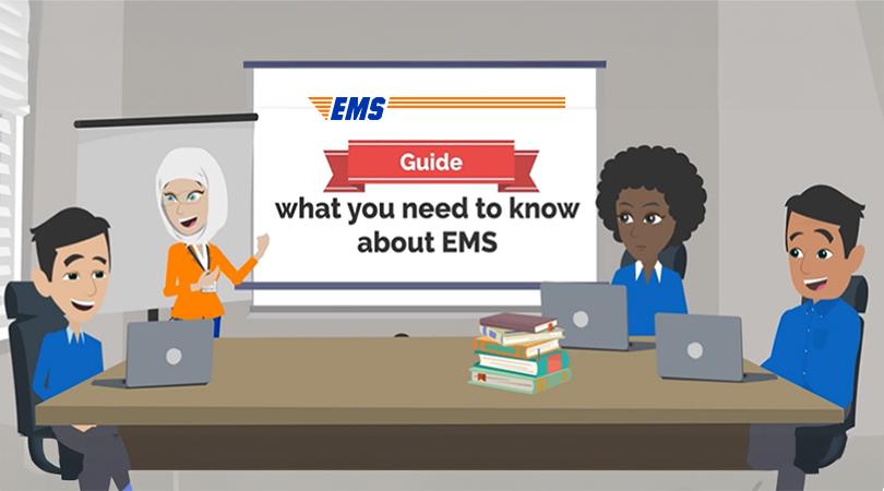 Illustration of the Introduction to EMS course