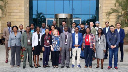 Attendees at the EMS workshop in Cairo