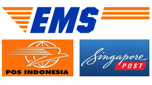 EMS twinning between Indonesia and Singapore